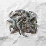 New Caledonia Blue Prawns
