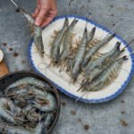 New Caledonia Blue Prawns - Image 3