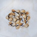 Hardshell Clams