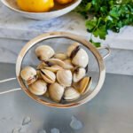Hardshell Clams - Image 3